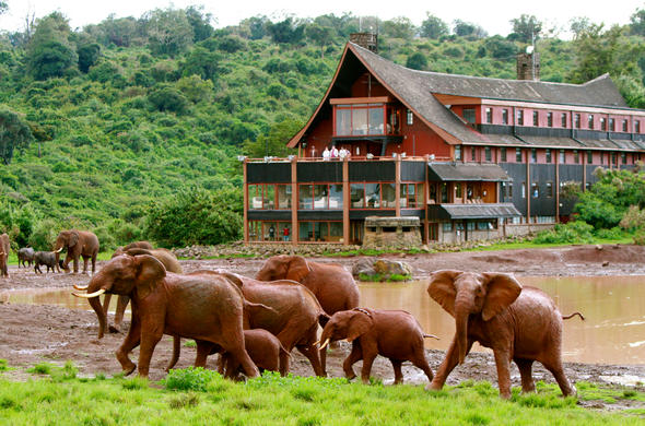Aberdare National Park - Mzansi Expeditions