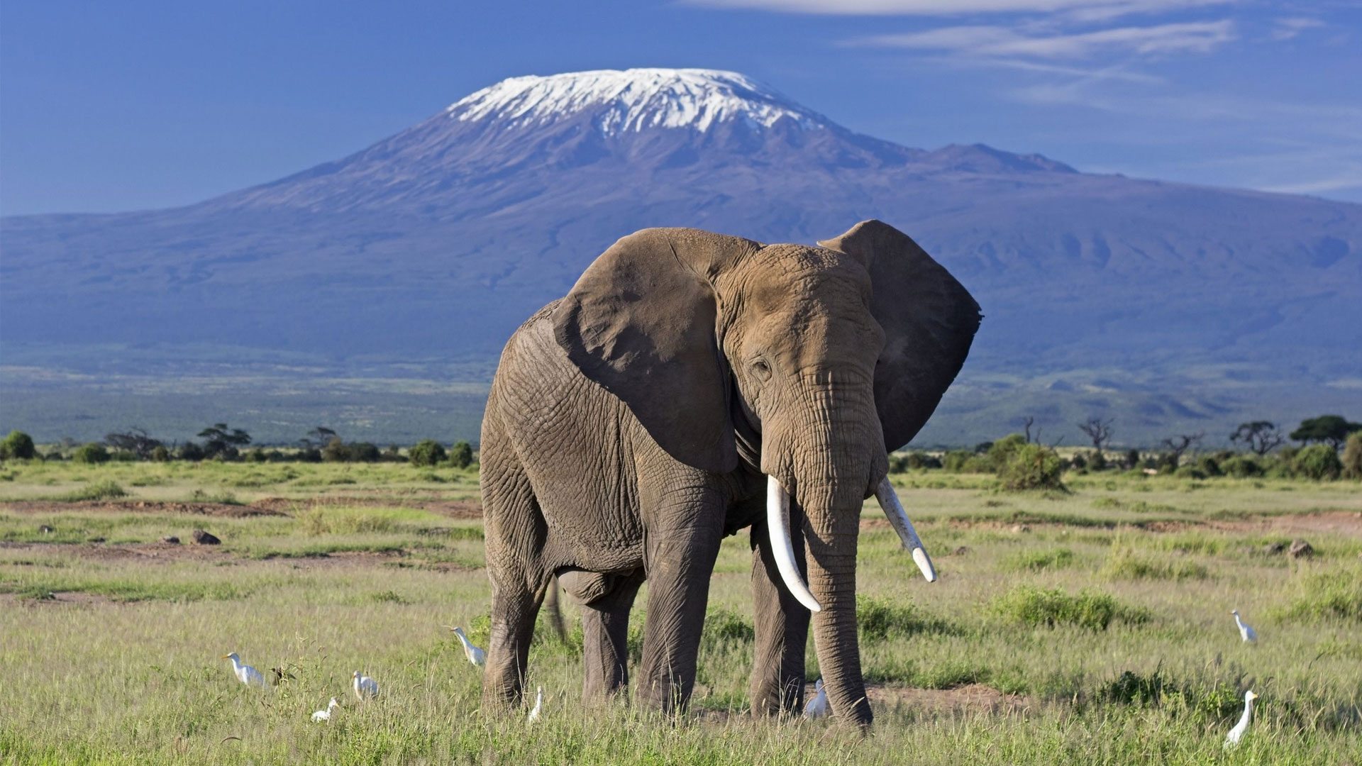 Amboseli National Park - Mzansi Expeditions