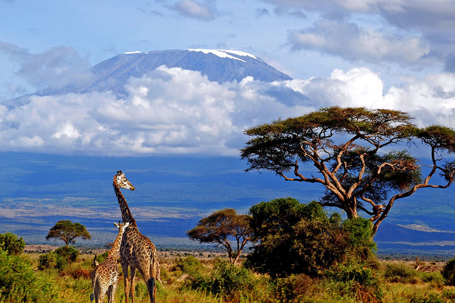 Kirimanjaro National Park - Mzansi Expeditions