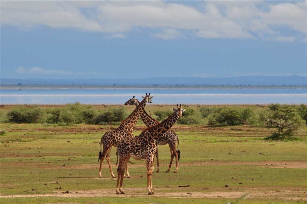 Lake Manyara National Park - Mzansi Expeditions