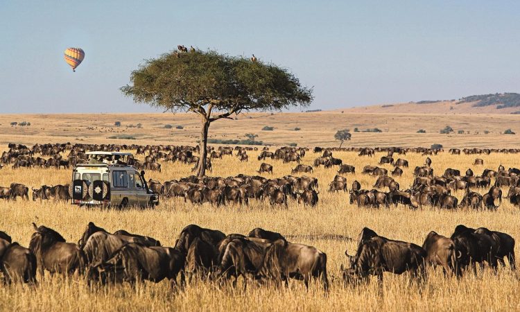 Maasai Mara National park - Mzansi Expeditions