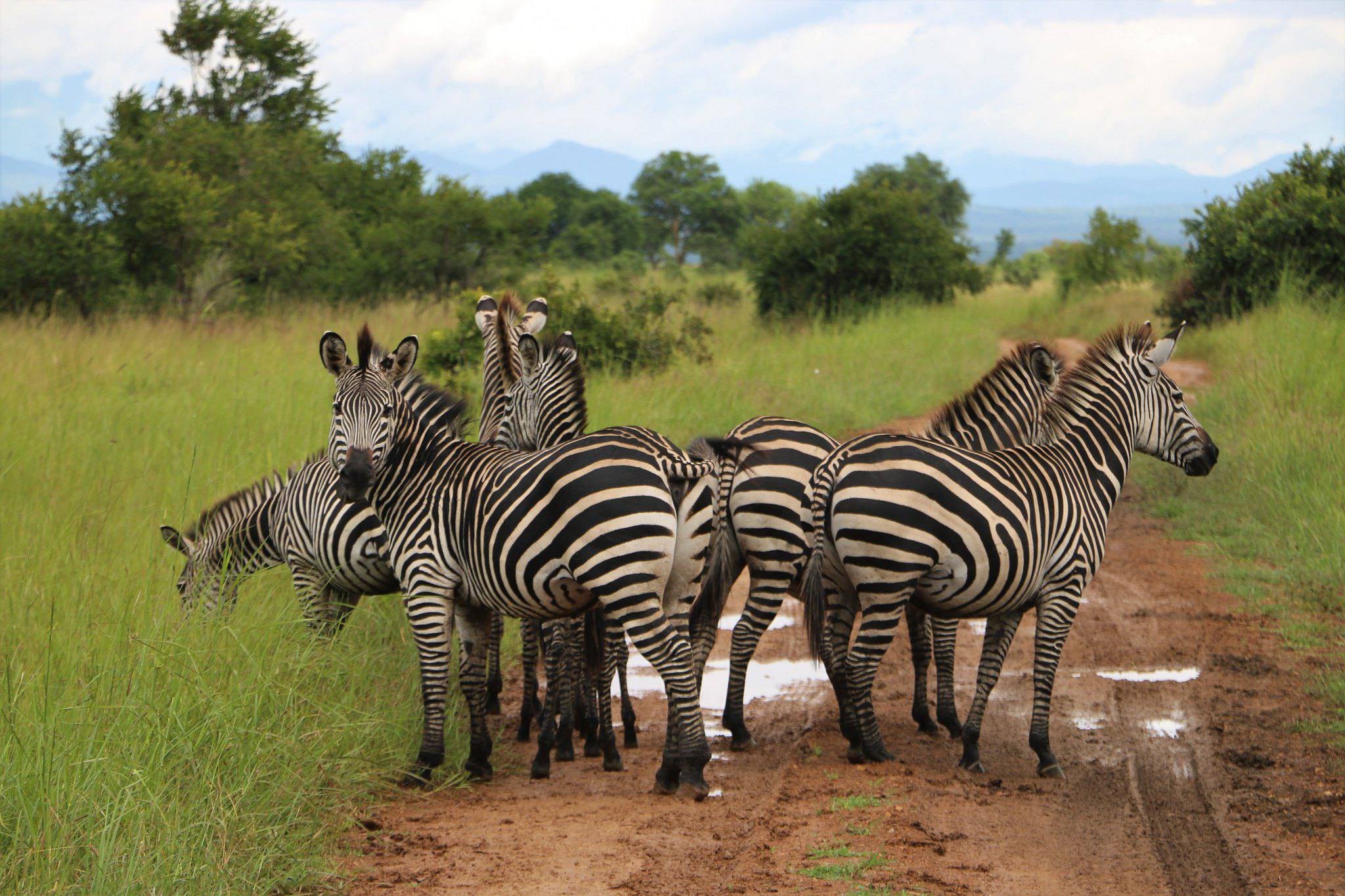Mzansi Expeditions at Mikumi National Park Tanzania