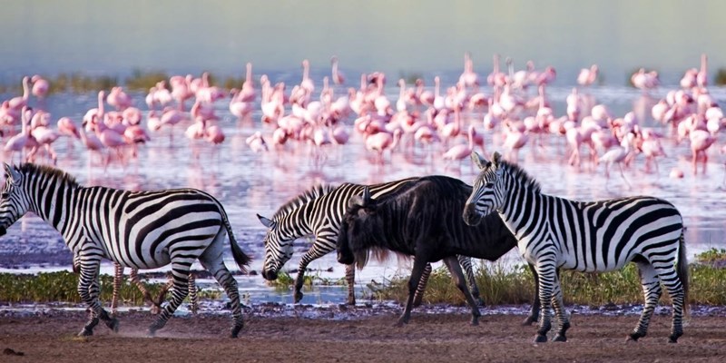 Lake Nakuru National Park - Mzansi Expeditions