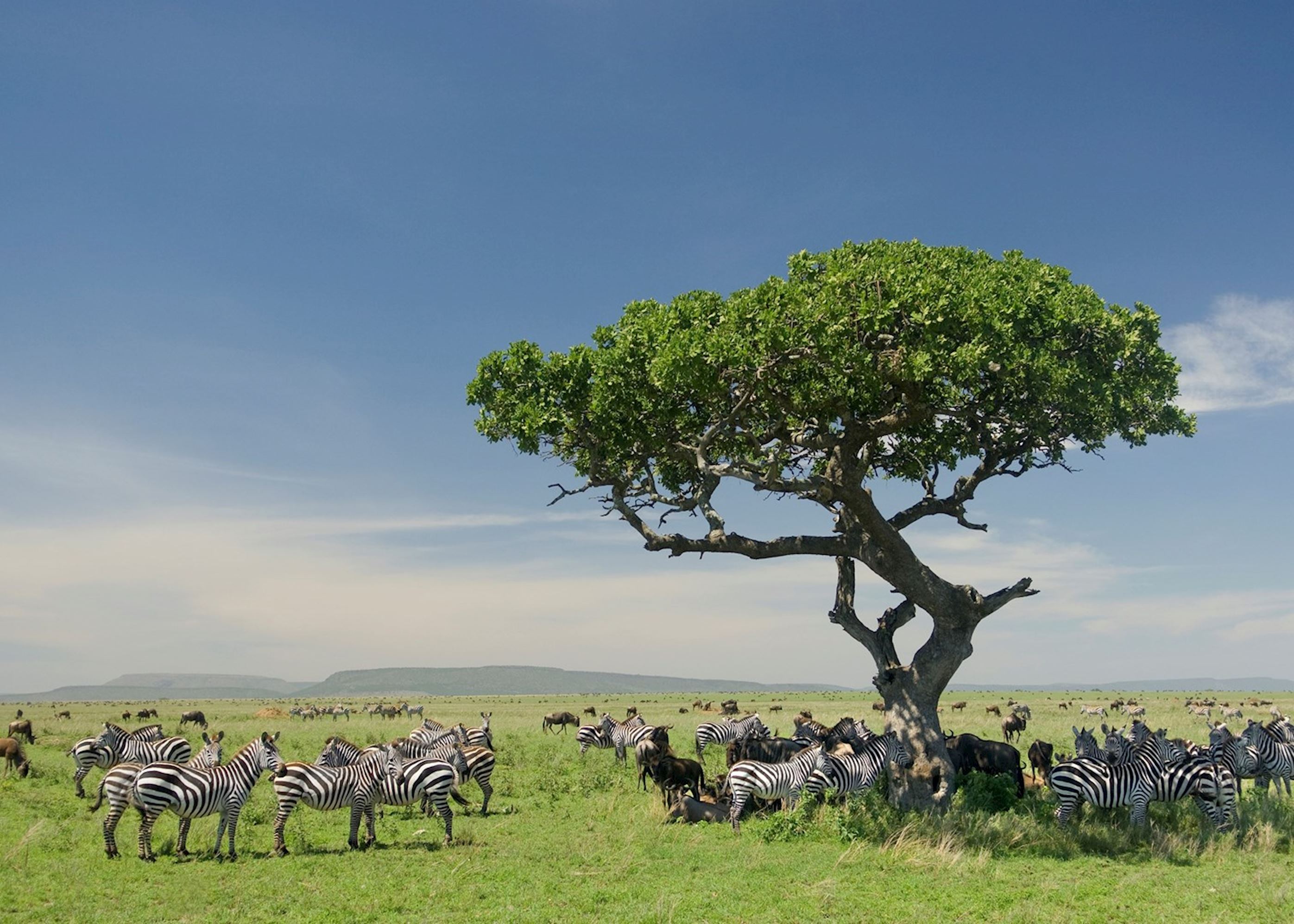 Ngorongoro Conservation Area - Mzansi Expeditions